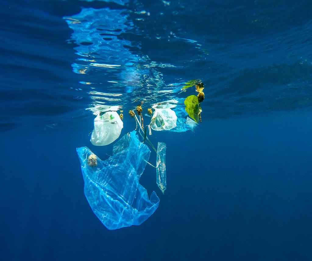 Volvo Ocean Race Utbildningsprogram Kapitel 2 Plastföroreningar i havet vad är det? Plast håller på att döda våra hav och vi behöver din hjälp för att rädda situationen.