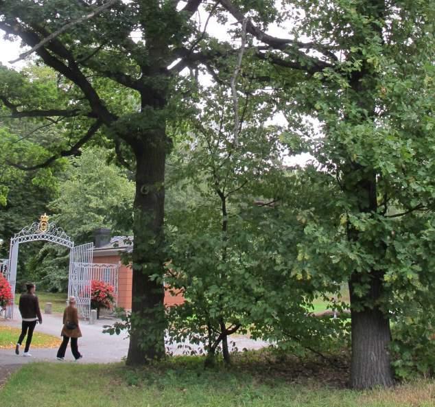 Lndskpet i området kring snbbcykelvägen består blnd nnt v ett världsunikt eklndskp, prker och odlingslotter. Hg-Brunnsviken fungerr som en spridningszon melln Ulriksdl och Norr Djurgården.