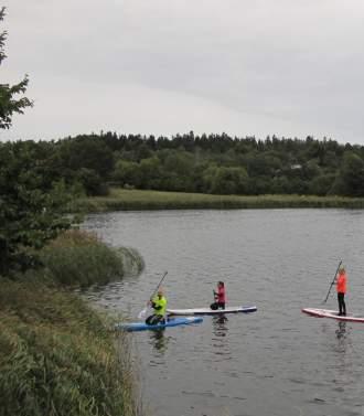 Norr om Brunnsviken ligger Igelbäckens- och Ulriksdls nturreservt smt en golfbn.