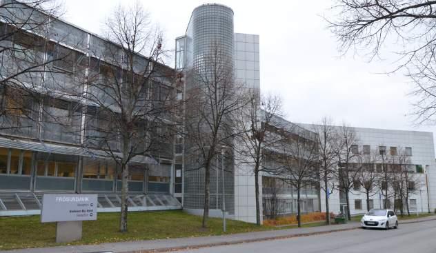 SAS närområde är uppfört som prk med plnteringr, lléer och en dmm. Området bryter v från resterde Hgprken med de modernre inslgen och med bilvägrn som frgmenterr miljön.