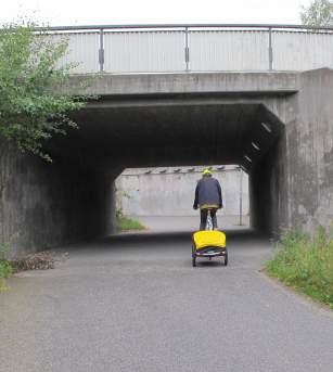 Vegettionen utmärks frmförllt v de lindlléer som är skyddde genom biotopskydd. Lindträdrdern kntr båd sidor v Lingsväg.