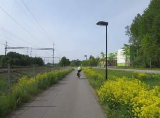 Mot E4 finns idg bländningsskydd för tt skydd trfiknter på Järvvägen mot bländning. De kuperde områden är till stor del brrskogsbeklädd, här finns utpekde värdefull trädmiljöer.