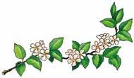 kvarnkullatradgard.se Blommor InrednI ng Café Vårkänslor!