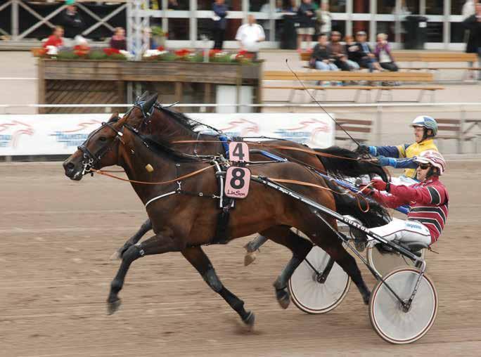 HalmstadTravet Fredag 8 juli Första start kl 0.