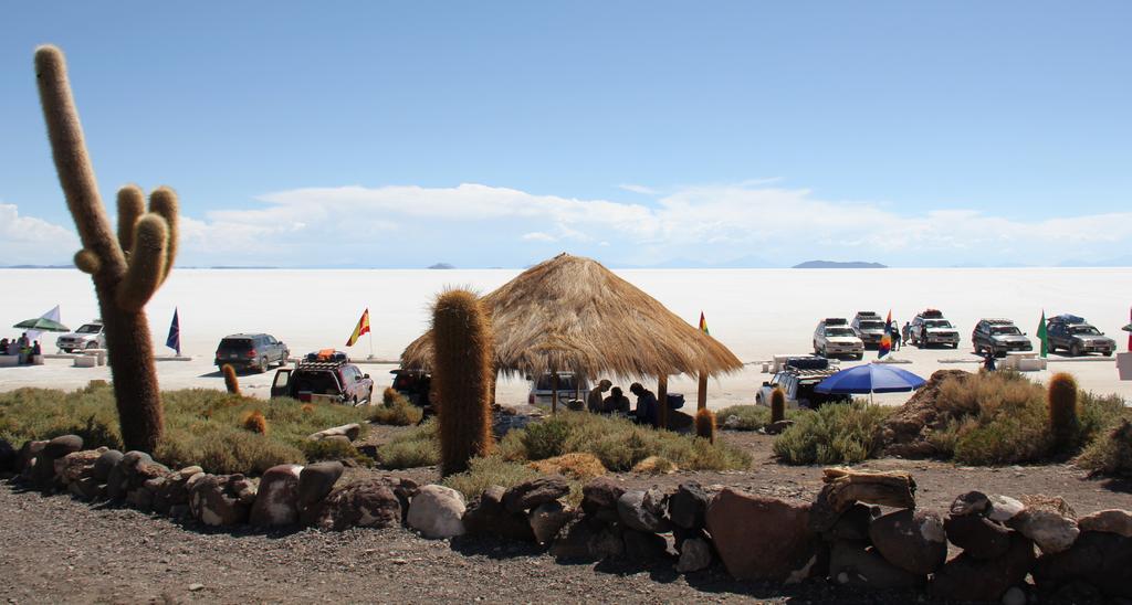 Dag 6: Potosi - Uyuni Förmiddagen är fri för egna upptäckter, kanske besöker ni Ojo del Inca? Där finner ni en fantastisk miljö runtomkring en lagun som är 30 grader varm året om.