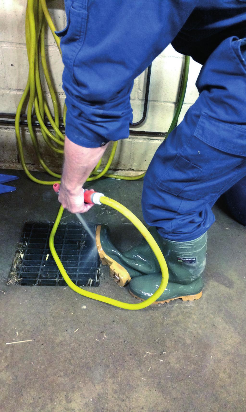 Hygien Boxhygien Det är en fördel om grisarna inom en omgång har så lite gödselkontakt med varandra som möjligt. Spalt i någon form är att föredra i boxar med ströad liggyta.