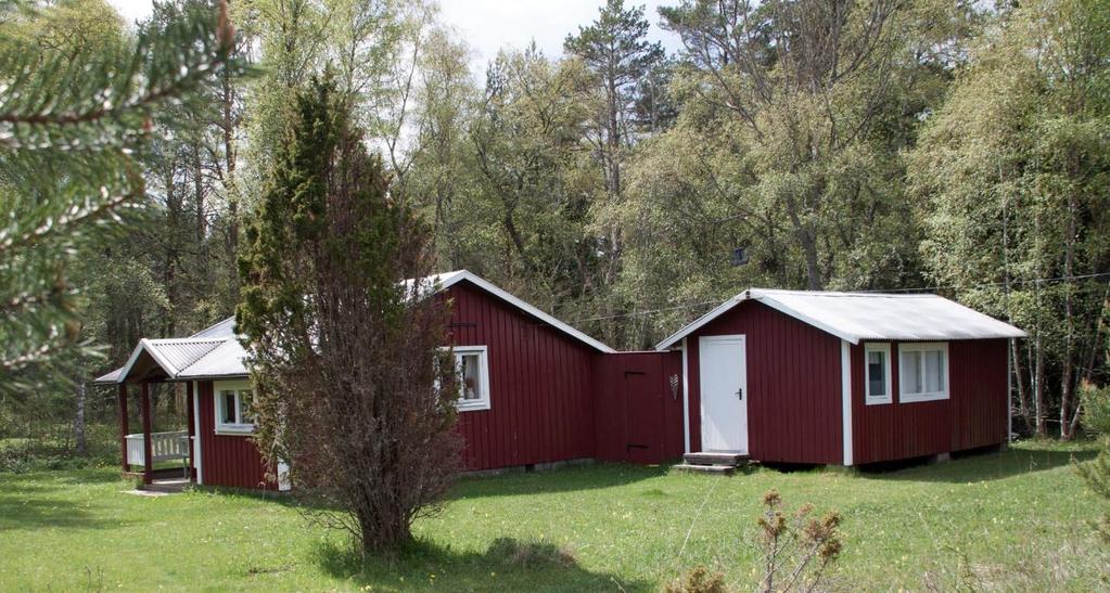 11 Bild på