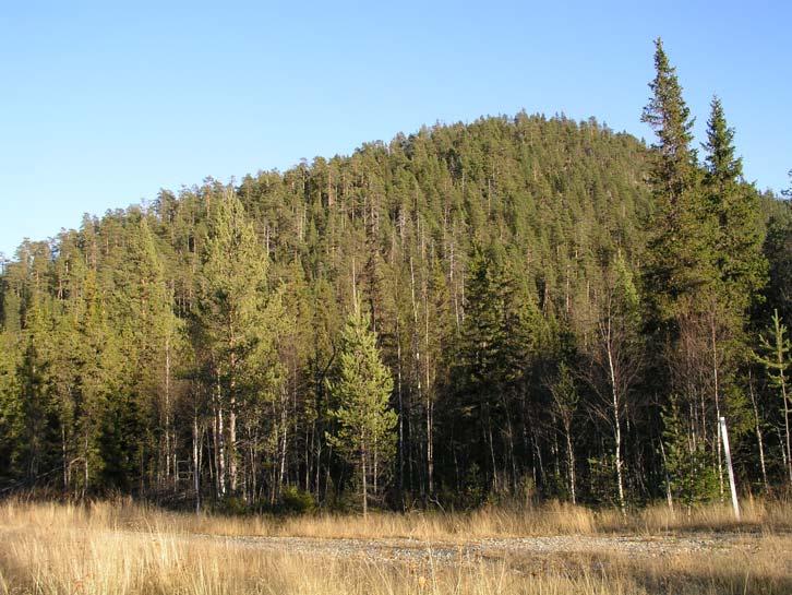 Bevarandeplan Natura 2000 Rismyrberget SE