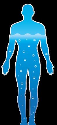Vatten Din kropp består till mer än hälften av vatten och det är viktigt att dricka vatten regelbundet.