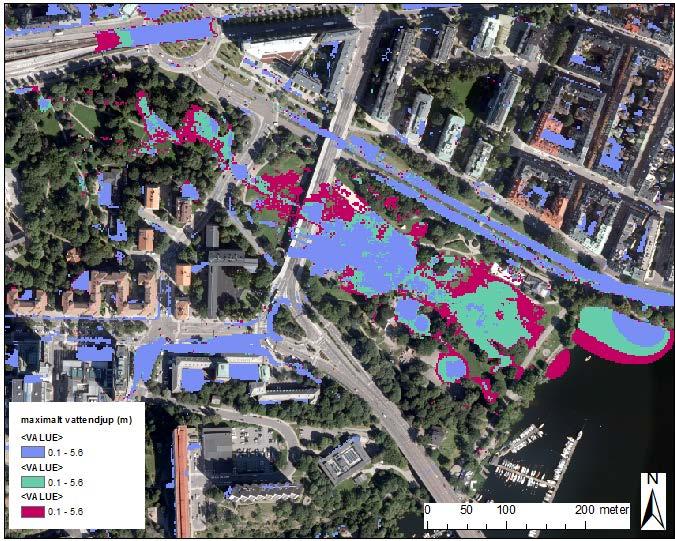 Figur 25. Maximal utbredning av vattendjup över 1dm där scenario 5 syns i rosa, 7 i grönt och 11 i lila.