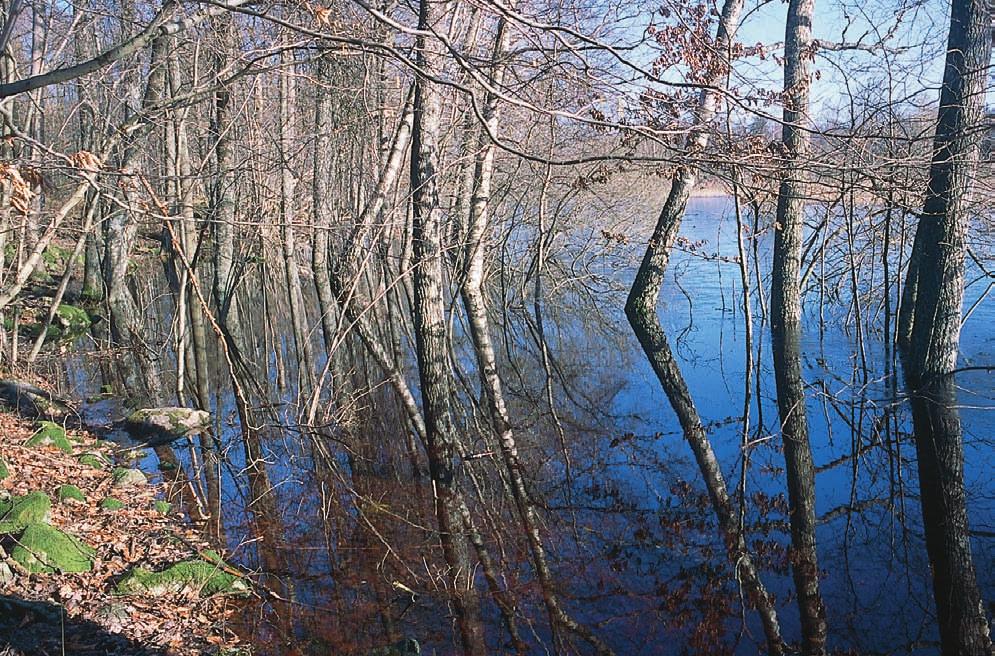 NILSSON, ARONSSON & HULTENGREN Biologisk mångfald i Linnés hembygd i Småland. 2.