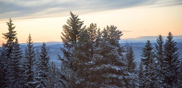 08:30-09:00 Morgonyoga 181001 09:00-181002 Ski n talk långfärdsskridsko -11:30 181006 Tjejskidåkning - Alpin För vem: Tjejer Medel/god 09:00-10:30 181003 Nybörjare 10:30-11:30 181007 Nätverksträff på