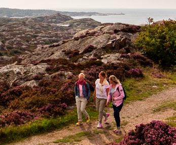 1 Måndag: Båt till Marstrand PÅ AR OCH MÅAR med start 8 juli till13 augusti kör trömma Kanalbolaget fartyget M/ :t Erik mellan Göteborg och Marstrand. Cykeln kan du ta med ombord gratis.