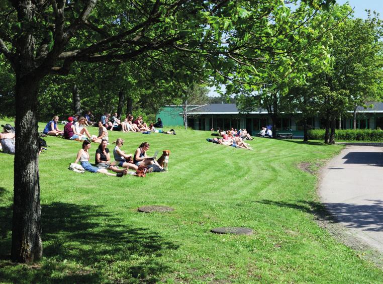Veterinärmedicinska föreningen, VMF Veterinärmedicinska föreningen, VMF, är studentkåren för studenter på veterinärprogrammet, djursjukskötarprogrammet samt forskarstuderande vid fakulteten för
