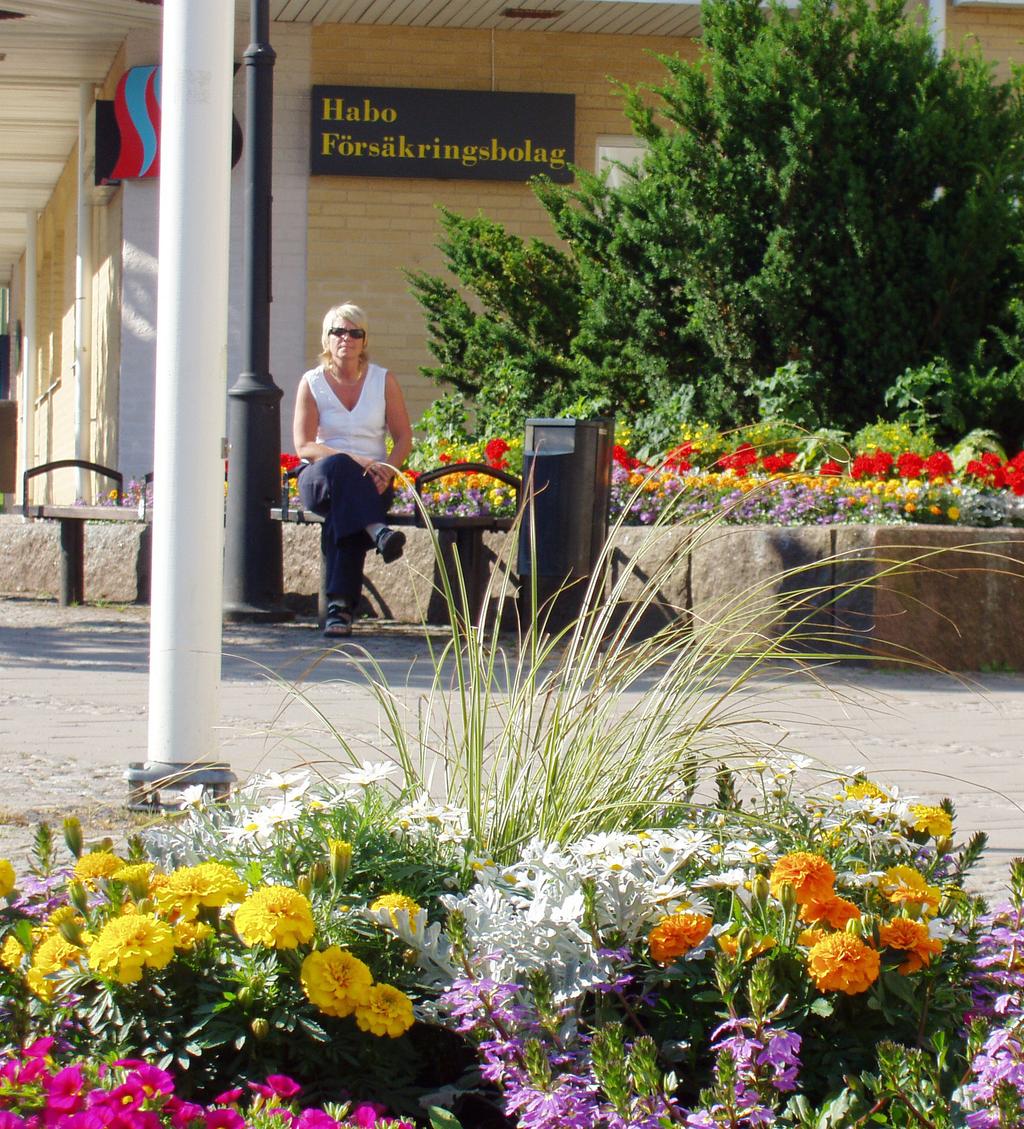 Eurotourism Se & göra Bokskogen. Foto: Torleif Ewermyr Historia Blå torget Habo centrum.