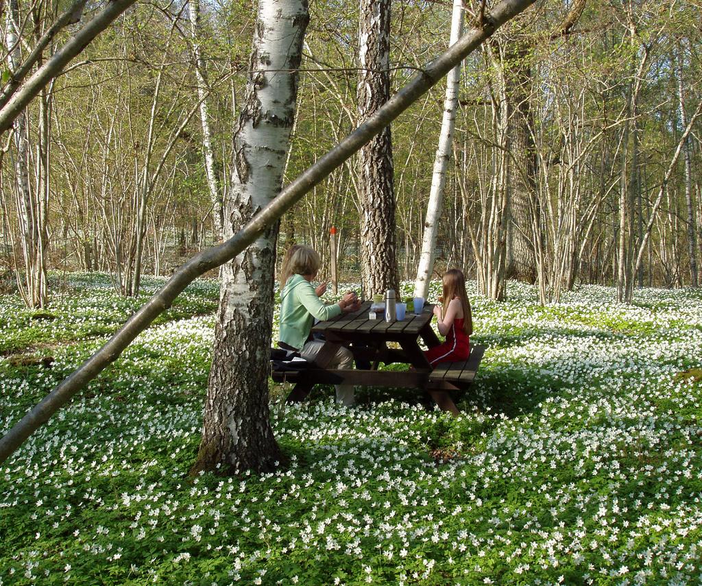 Eurotourism Se & göra Tjärn på Hökensås. Foto: Hans Jarstig Naturreservatet Fiskebäcks ängar.