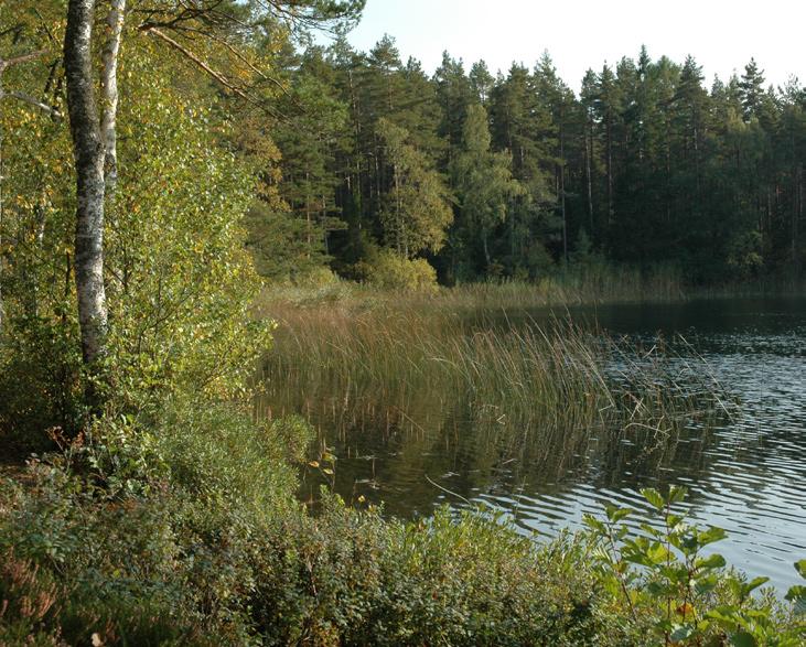 Domsand och Baskarp har fina sandstränder vid Vätterns kristallklara vatten. Furusjön är en liten insjö som snabbt når rätt badtemperatur. Alla baden har väl utbyggd service.