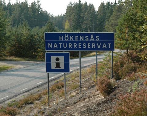 Stora delar av marken är utströmningsområde och flera mindre bäckar, omgivna av kärrsvegetation, rinner genom området. Ek och hassel är områdets karaktärsarter men trädslagsblandning är stor.