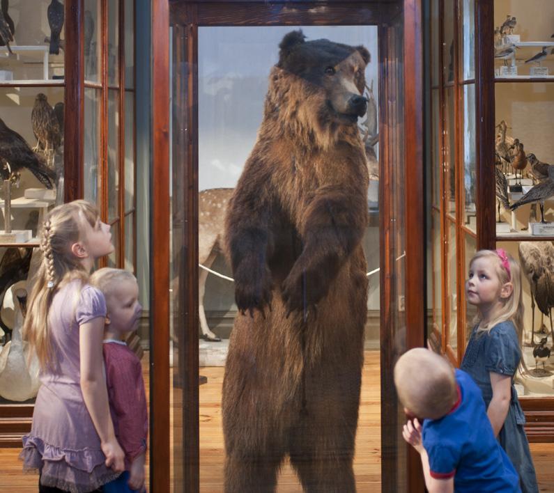 UTSTÄLLNINGAR PORSLINSSALEN Av Adolf Andersohns alla samlingar var porslinet och glaset något av det som fängslade honom mest.