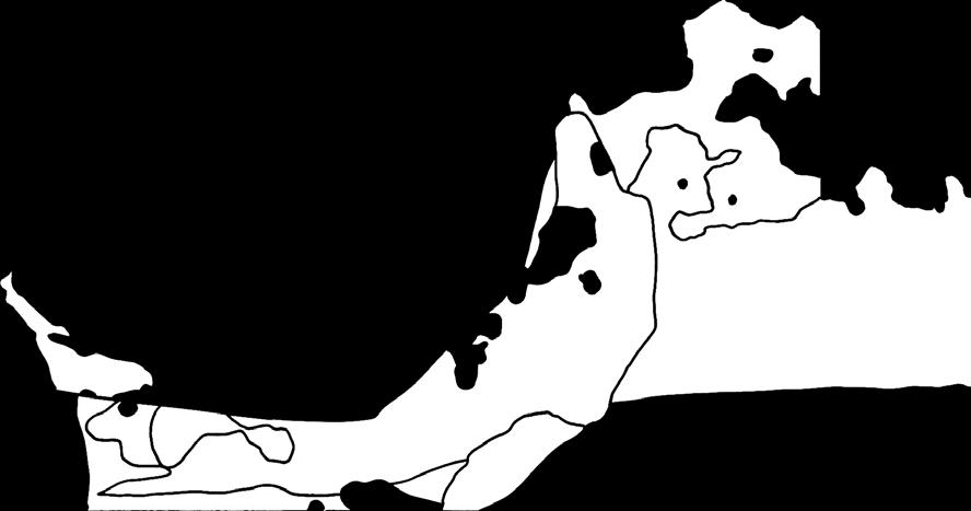 Region Norrbotten arbetar därför strategiskt med dansens utveckling genom det regionala dansrådet.