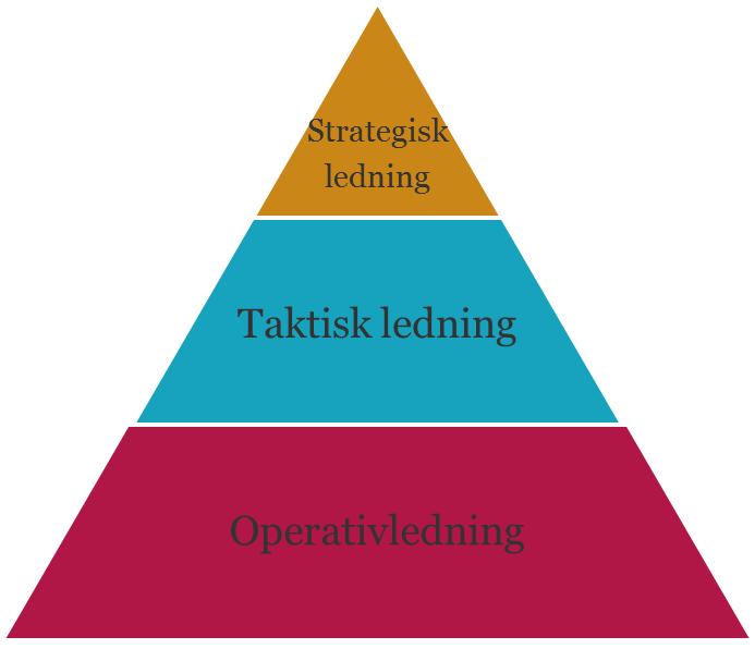 Iakttagelser på olika nivåer Ledningsgruppen Årlig rapport från ledningssystem Samordningsgrupp Status för