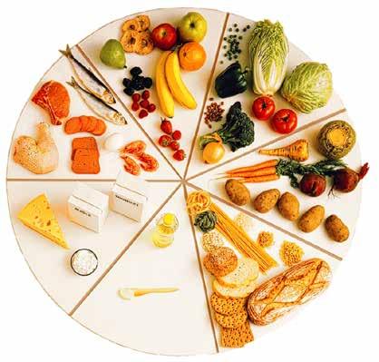 Kroppen behöver olika näringsämnen för att må bra Ett bra knep för att veta att kroppen får alla viktiga näringsämnen som den behöver är att utgå från matcirkeln.