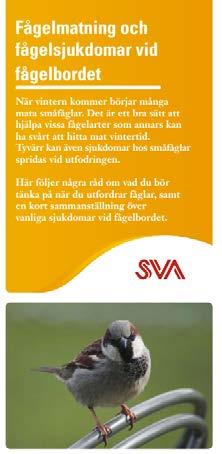 Notiser 2010 viltsjukdomar NATIONELLT Trichomonasinfektion, s.k. gulknopp på främst grönfinkar och bofink sågs först i England 2005, sedan i Sverige 2008 när drygt 20 utbrott med 200 döda fåglar rapporterades.