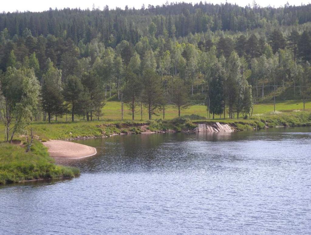 Malung-Sälen och Älvdalens kommuner, Dalarnas län Förstudie för