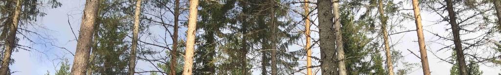 Belägenhet Lillmon 5:9 består av 3 obebyggda