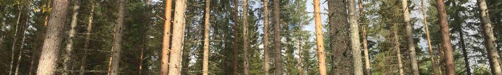 Håarnavägen.