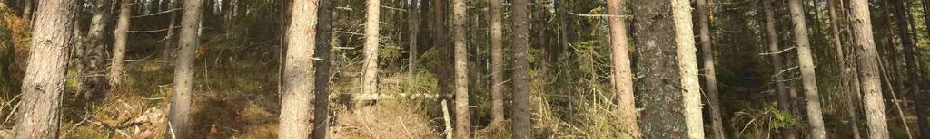 skogsbruksplan i augusti 208 av Jerker Axelsson.