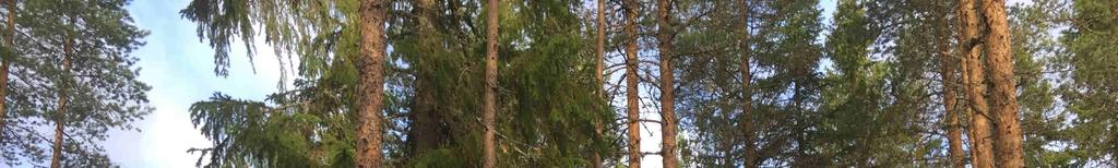 Gemensamhetsanläggningar / samfälligheter m.m. Malung-Sälen Albacken S:4, S:6-7 Grustag, gator, diverse samfällda platser.