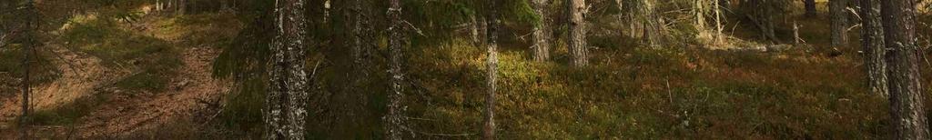 Taxeringsvärdet grundar sig på ett för högt virkesförråd (58 m3sk/ha) i förhållande till