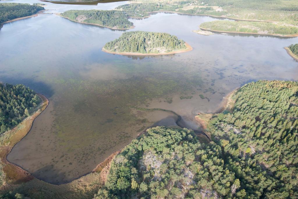 Vik 379 under andra provtagingen den 17:e september, nästan 2 månader efter