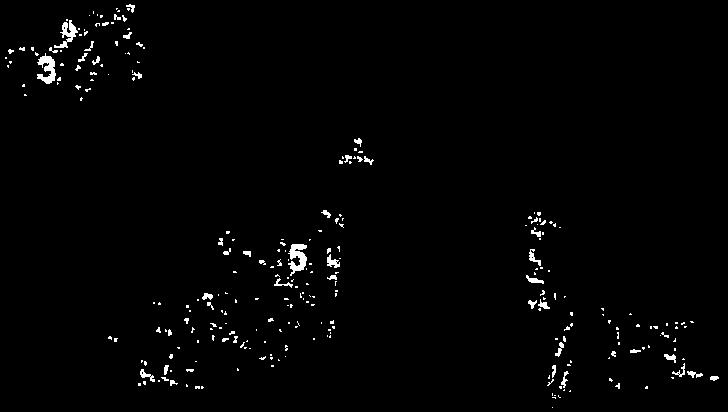 17:00 /
