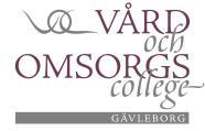 Protokoll Regional styrgruppsmöte VO-College Gävleborg Tid: Torsdag den 11/1-18 Kl 9.