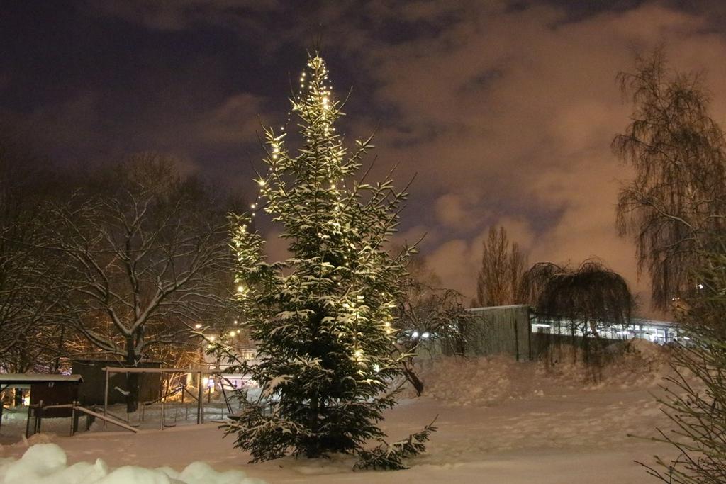 Luciafest sid 8 Snickarboden sid 3 Jukönskan dikt av Sigge Paulusson sid 8 Pubkvällar hösten 2012 sid 3-4 Paradisbackens Julfest sid 9 Nya grannar Sid 4 Lista