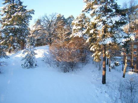 Med knäppta händer vi skall be, om tillgift och förlåtelse. Må alla vapen tysta stå, att alla uti frid få gå.