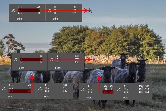Metod två - Kurvor En metod som separerar färg och ton/kontrast med Kurvor/Curves. Bilden är samma och problemen samma. Metoden ger bra kontroll över färgerna.