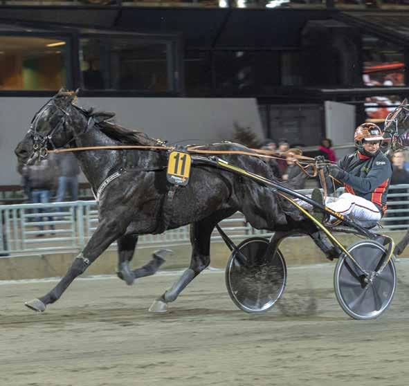 banprogram SOLVALLA