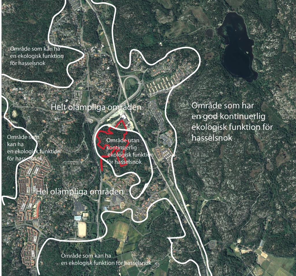 Hasselsnok och större vattensalamander underlag för prövning enligt artskyddsförordningen. Karta 2. Landskapets förutsättningar för hasselsnok. Hur påverkar detaljplanen arten och dess livsmiljöer?