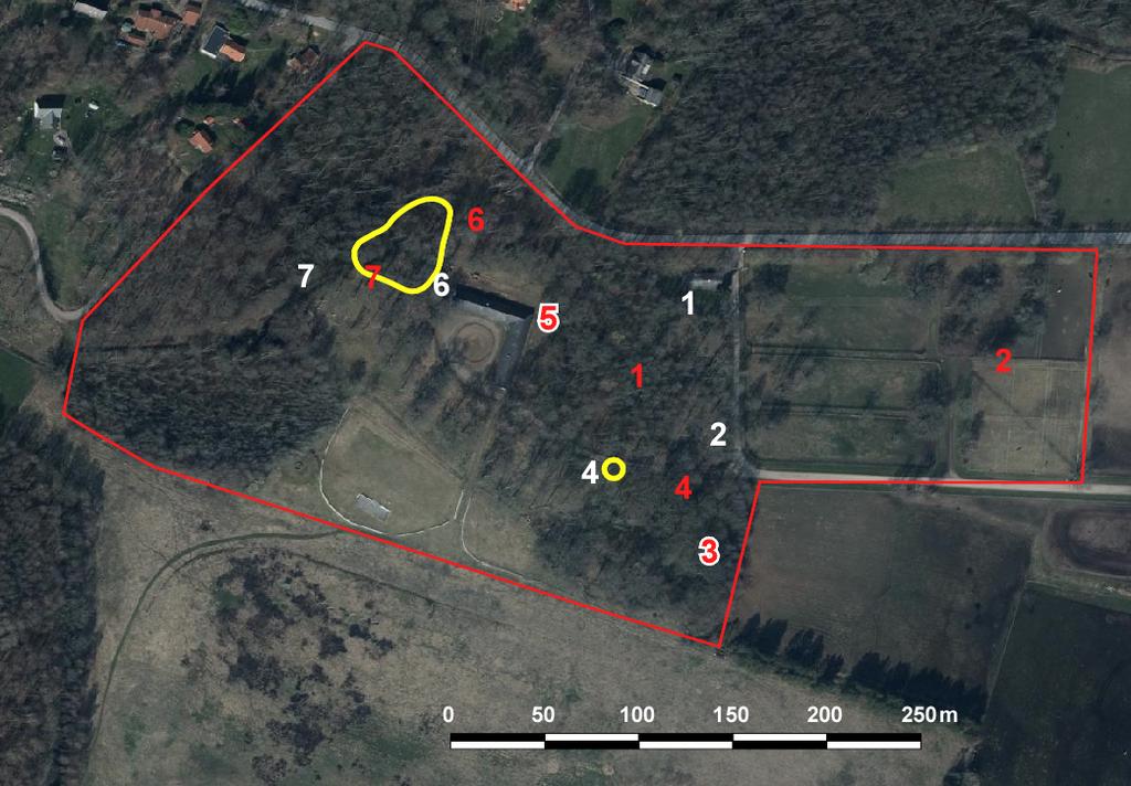 Fladdermöss Blommeröd Naturcentrum AB 2015-10-25 I bryn- och hagmarksmiljön närmast väster om karantänstallet förekom också svärmning av