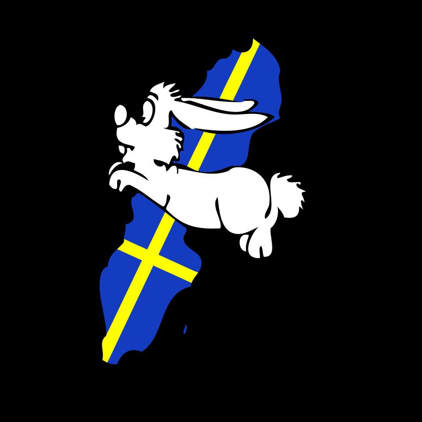 Handbok för Sveriges Kaninhoppares Riksförbund