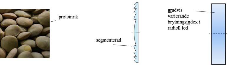 1. Många korta frågor (motivera mycket kortfattat dina svar om inte annat anges explicit vid frågan) (a) Bilderna markerade undertill med 1, X, 2, visar tre exempel på viktiga linstyper med speciella