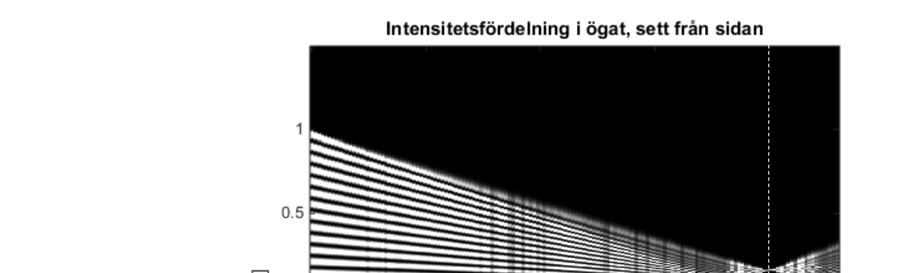 Figuren visar den simulerade intensitetsfördelningen inuti ögat (med kursens ögonmodell) från två punktkällor på långt avstånd från ögat.