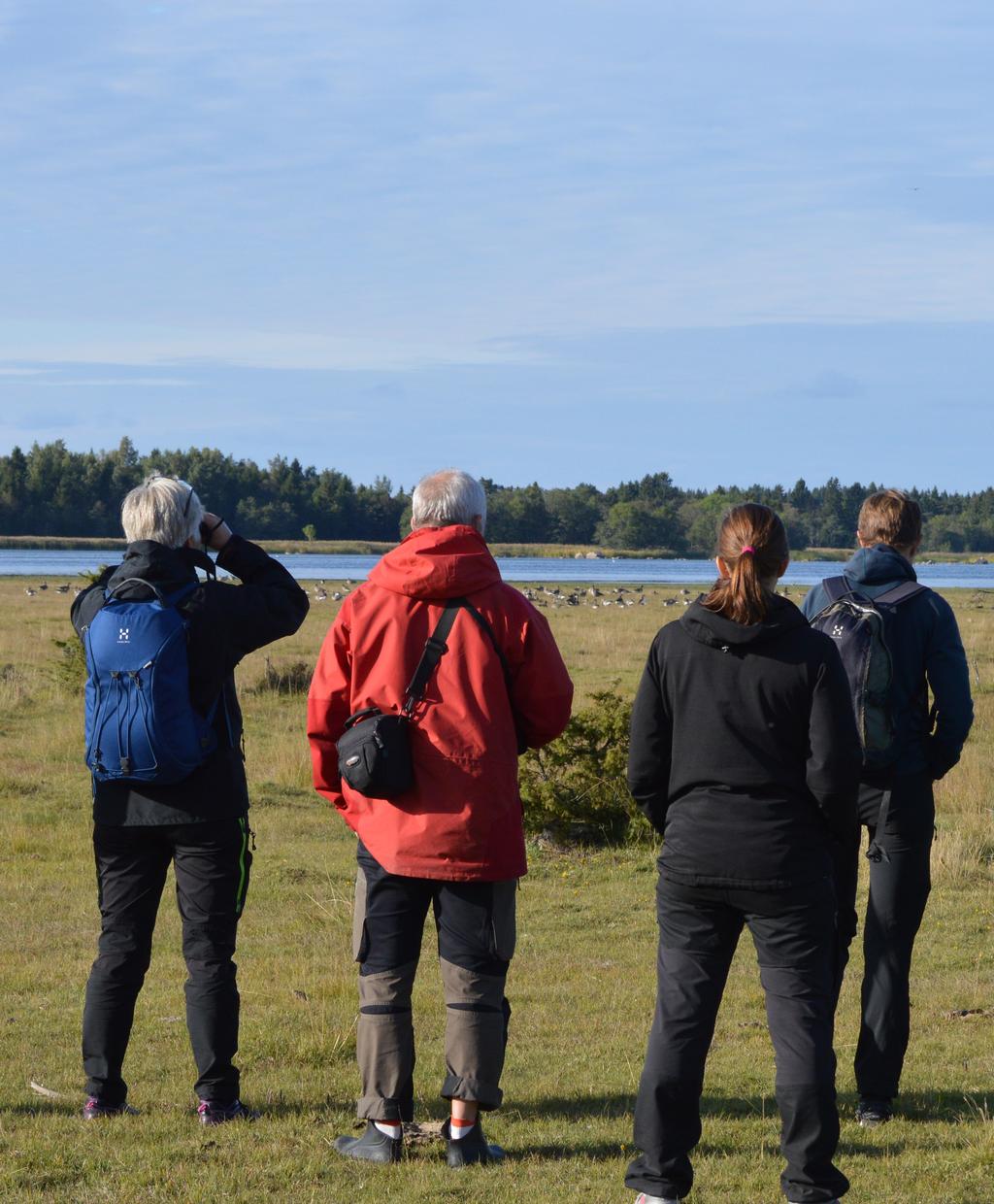 Utflyktsprogrammet vår & sommar 2018 Häng med ut i naturen! Naturupplevelser, guidningar, cykelturer, familjeaktiviter och mycket mer. Kartlänkar och mer detaljer finns på: www.