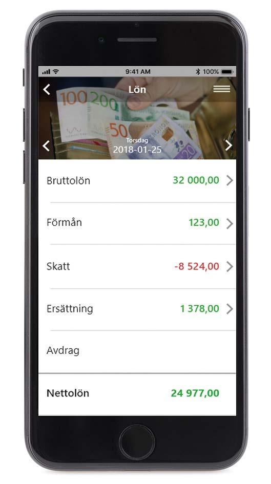 Med ett användarvänligt och lättarbetat gränssnitt automatiserar Flex HRM Payroll en stor del av lönehanteringen och gör dig trygg i att de anställda får rätt lön.