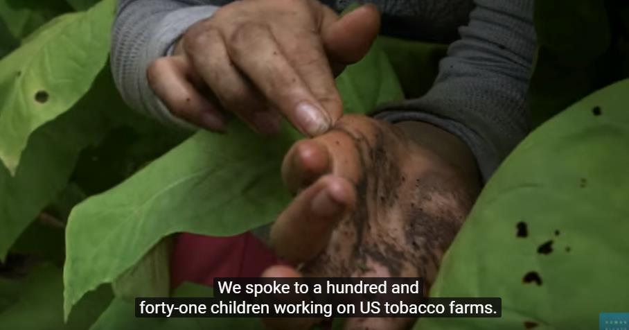 MADE IN THE USA; Child labor & tobacco