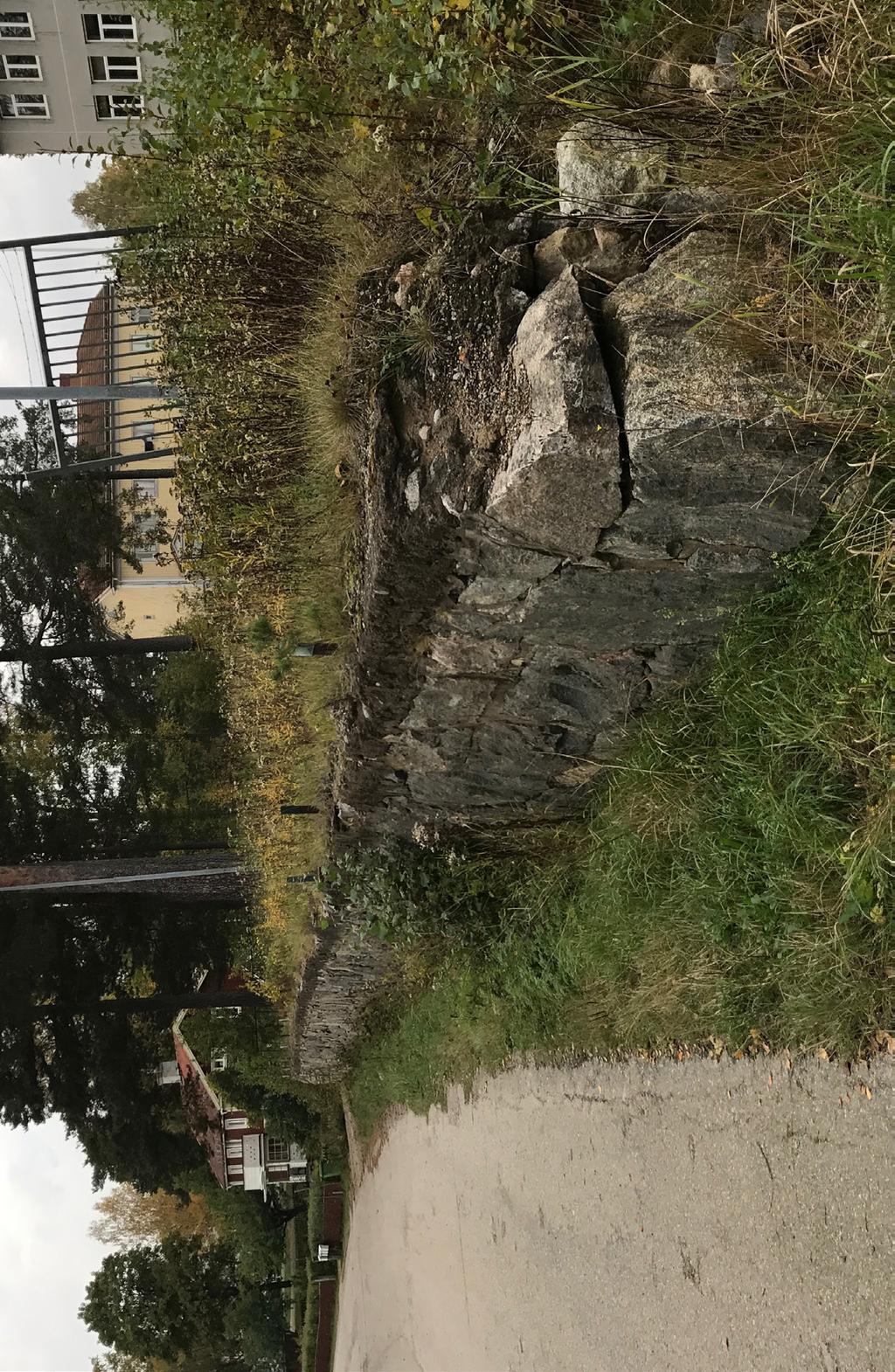 Förutsättningar, förändringar, konsekvenser och åtgärder Mark & vegetation Planområdet utgörs till största del av hårdgjorda ytor av grus och asfalt, främst kring skolbyggnaden. Den f.d. lärarbostaden omgärdas av gräsytor och planterade buskar.