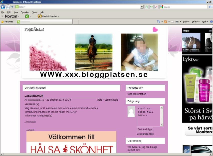 Ulrika Sjöberg Figur 2. En blogg om sin vardag person.